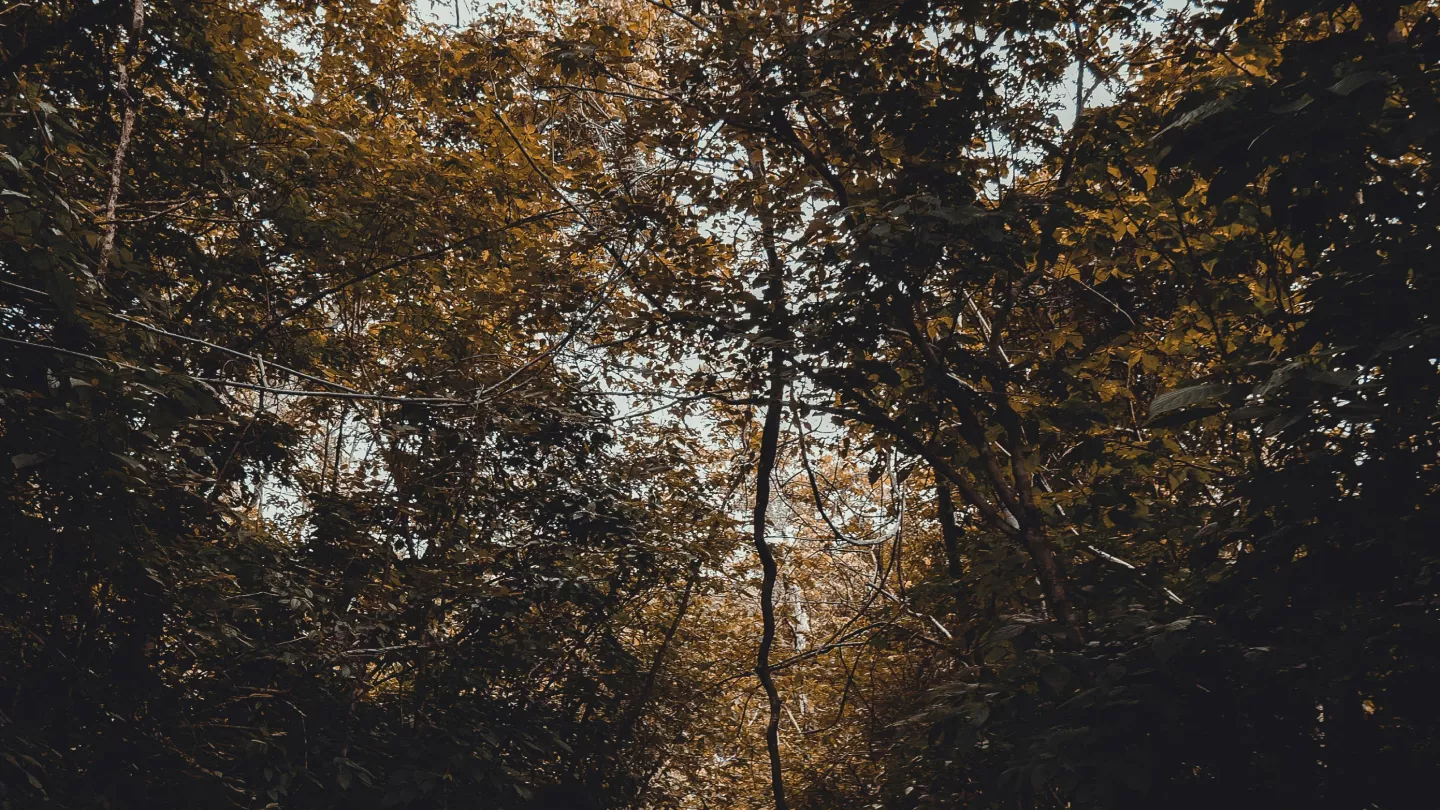 Two people sit on rocks beside a cascading waterfall